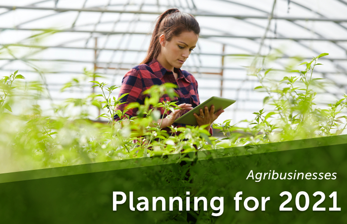 Farmer Working on Tablet in Greenhouse