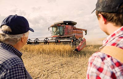 Farmers Watching Combine