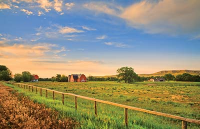 Farmland With Fence