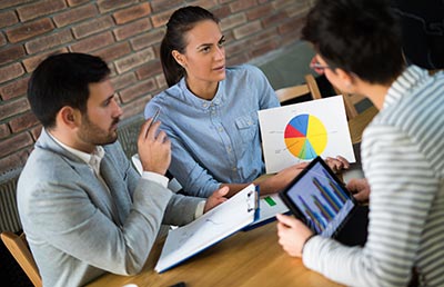 Professionals Looking at Pie Chart