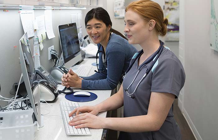 Nursing Staff Working at Computer in Office