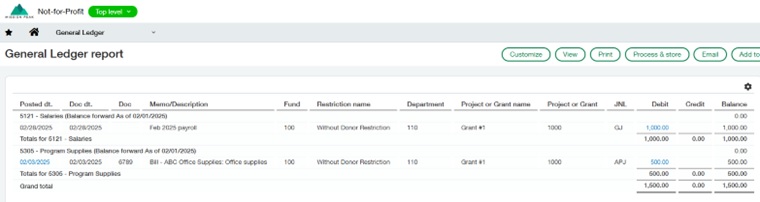 4 sage intacct restricted assets 4