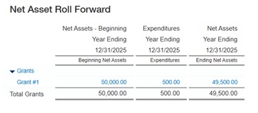 8 restricted net assets 8