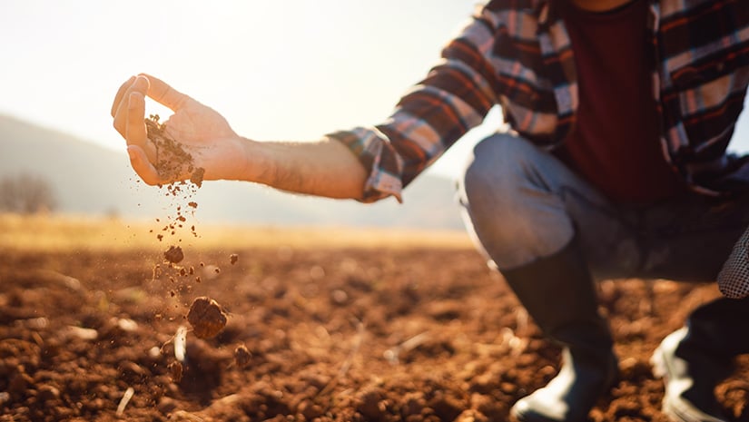 An unrecognizable farmer working in the field