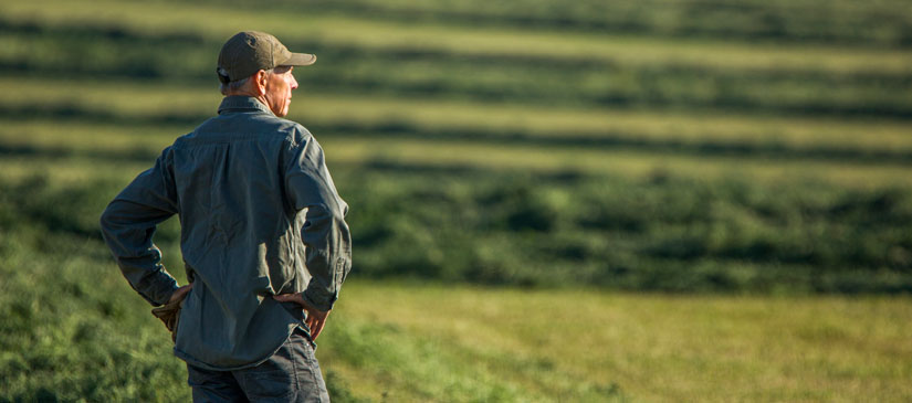 Farmer looking over field