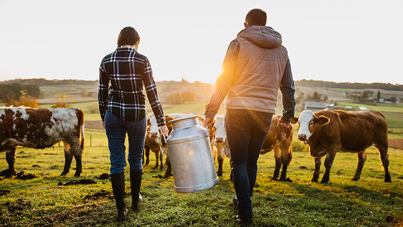 Young couple villagers with milk cans