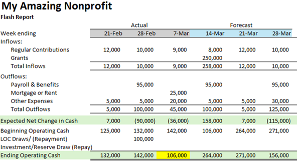 Nonprofit flash report