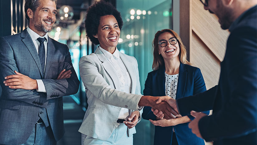 Meeting the new business partner