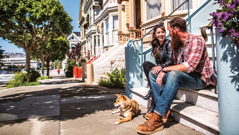 A couple with a dog on a city walk