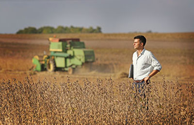 Man with Laptop in Soybean Field