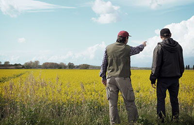 Men Pointing at Field