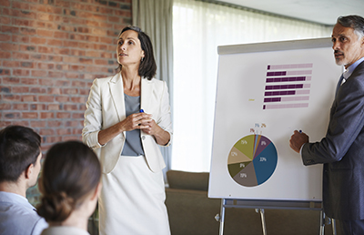 Two Professionals Presentation White Board