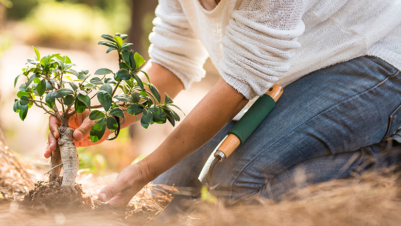 Responsible Investing in Private Equity: Explore Benefits: CLA