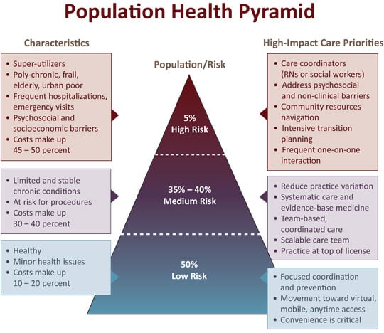 Population Health Pyramid